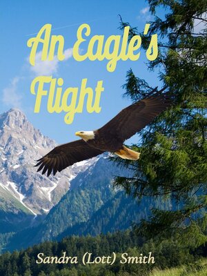 cover image of An Eagle's      Flight